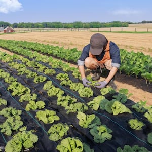 4FTx250FT Premium Heavy Duty Weed Barrier Landscape Fabric 5OZ Woven Geotextile Fabric Under Gravel High Permeability