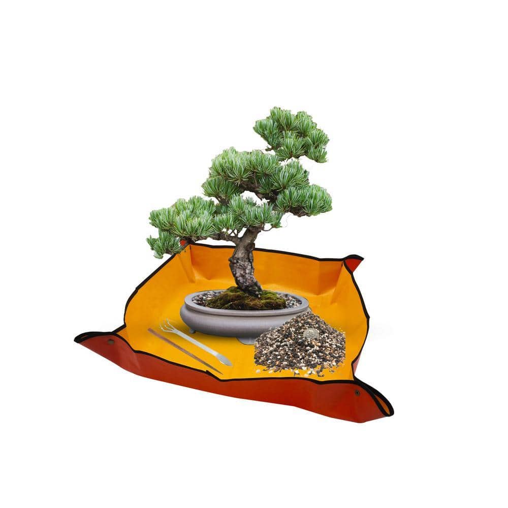 The Bonsai Supply 39 in. x 39 in. Potting Mat Portable Gardening Mat  Repotting Mat Waterproof Plants Bonsai Succulents Pottingmat39 - The Home  Depot