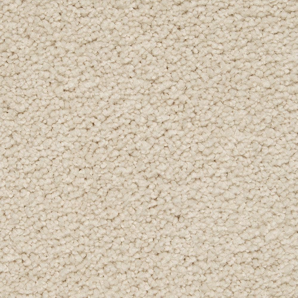 8 in. x 8 in. Texture Carpet Sample - Castle I -Color Bliss price history on PriceWatchPro