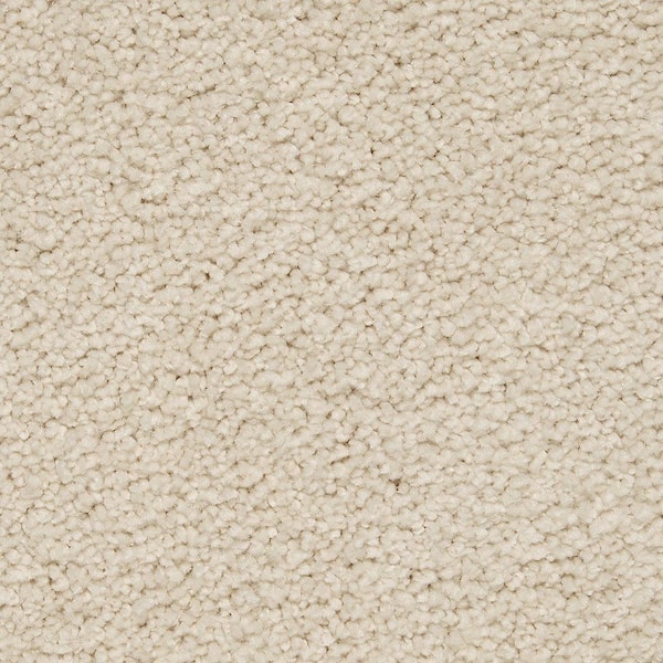 Lifeproof 8 in. x 8 in. Texture Carpet Sample - Castle I -Color Bliss