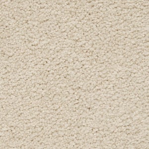 Castle I  - Bliss - Beige 48 oz. Triexta Texture Installed Carpet