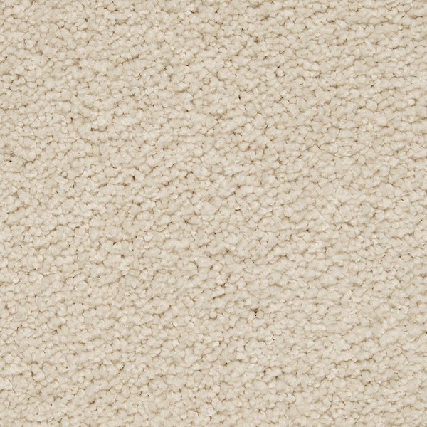 Lifeproof with Petproof Technology Castle II  - Bliss - Beige 60 oz. Triexta Texture Installed Carpet