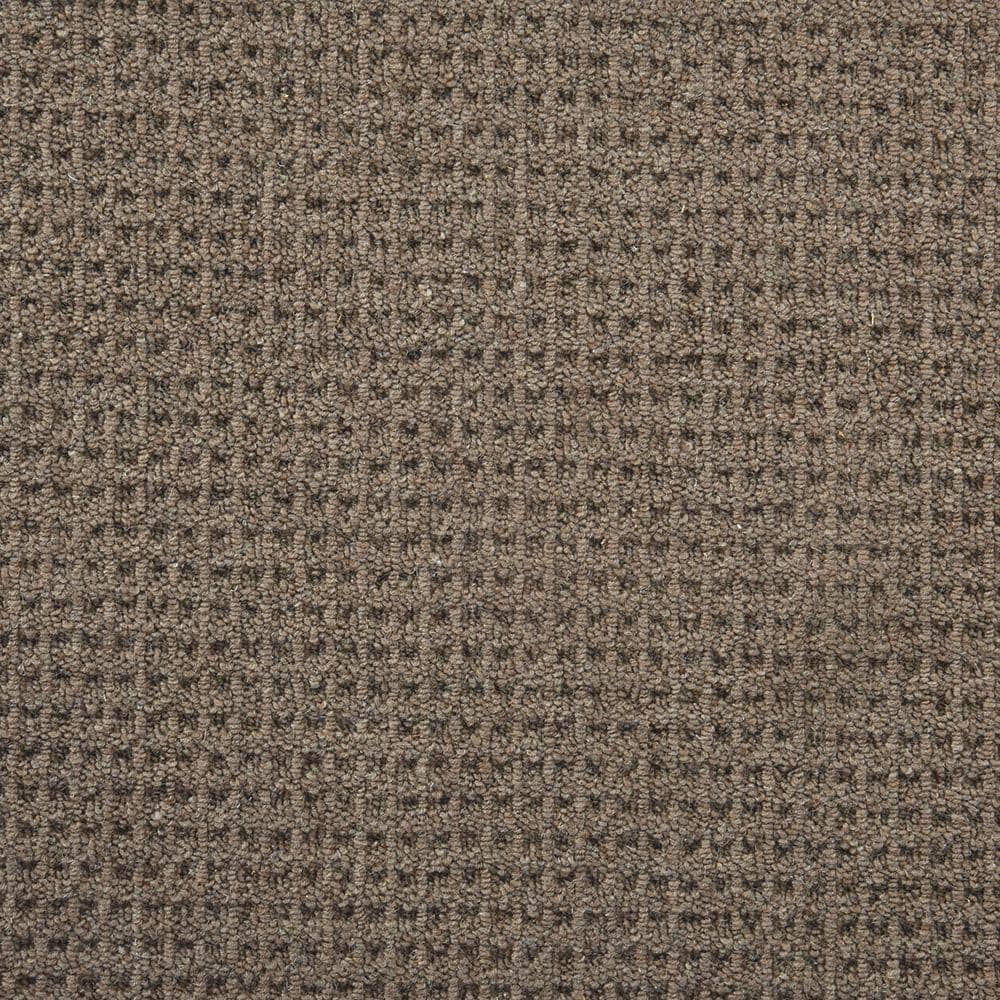 6 in. x 6 in. Multi-Level Loop Carpet Sample - Shenadoah - Color Bark price history on PriceWatchPro