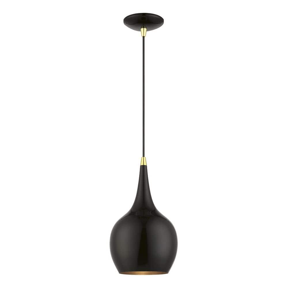 Pollydale 1-Light Shiny Black Mini Pendant with Polished Brass Accents price history on PriceWatchPro