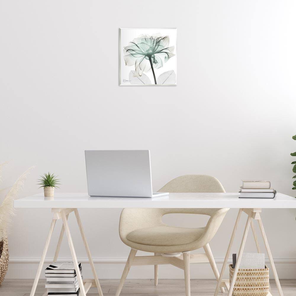 Unique Chic Flower Petal by Albert Koetsier Unframed Nature Graphic Art Print 12 in. x 12 in. price history on PriceWatchPro