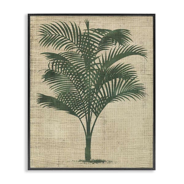 Stupell Industries Vintage Palm Plant by June Erica Vess Black Framed Nature Giclee Art Print 14 in. x 11 in.