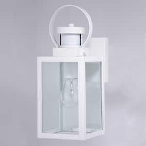 Medinah White Motion Sensor Dusk to Dawn Outdoor Wall Light Clear Glass
