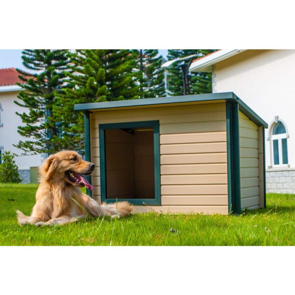 X-Large Maple and Green Insulated Plastic Dog House