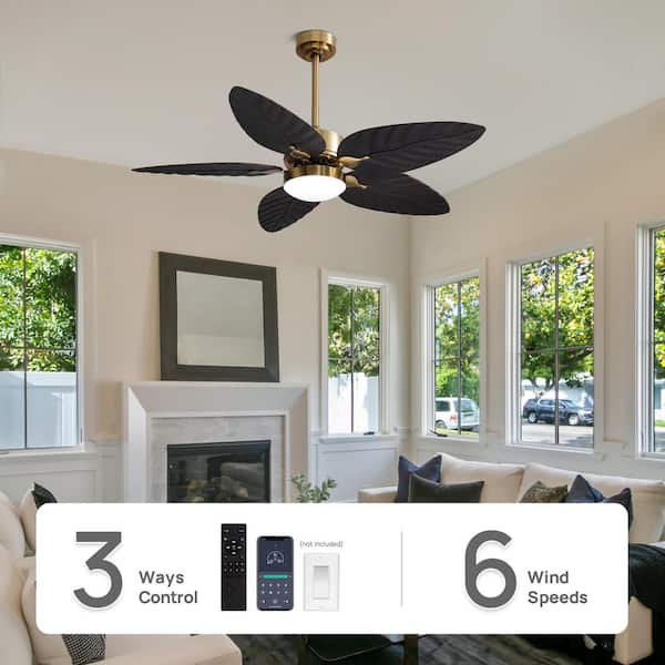 52 in. Smart Indoor Black and Gold Banana Leaf-Shaped 5 Blades Ceiling Fans with Lights with Remote Included