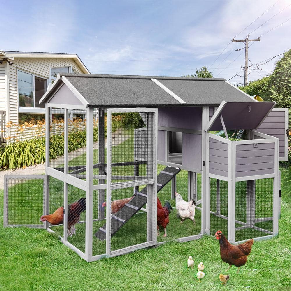 Large Wooden Chicken Coop with Galvanized Wire for 6-8 Chickens