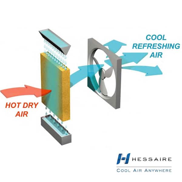 Hessaire - 900 CFM 2-Speed Portable Evaporative Cooler for 350 sq. ft. in Gray