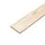 1 in. x 6 in. x 8 ft. Ground Contact Pressure-Treated Board