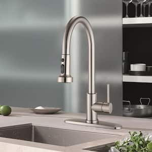 Single Handle Pull Down Sprayer Kitchen Faucet with Deckplate Included and Sprayer in Brushed Nickel