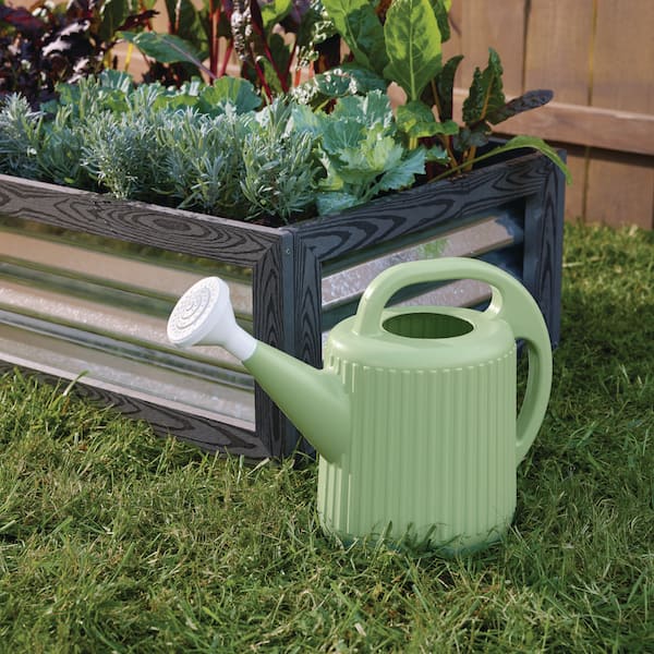 Buy Metal Watering Can 2L at Online at Best Prices in India