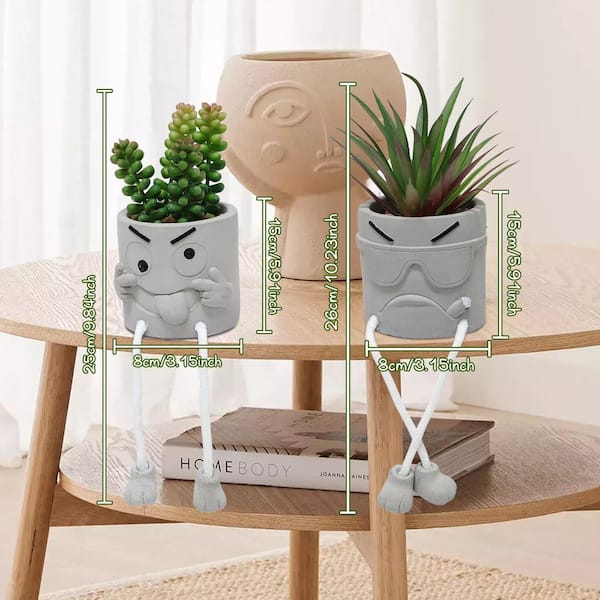 3.5 in. 2-Piece Gray Indoor Artificial Succulent Plants with