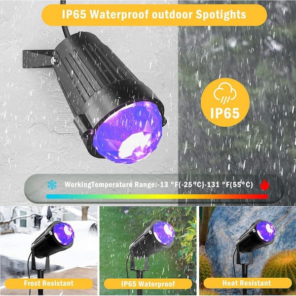 BeamBox 800 Lumen Black Integrated LED Floodlight, IP65 Waterproof