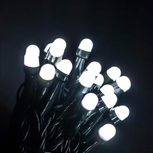 Novolink 50 ft. 200 Light Mini Globe Cool White LED String LightsSL