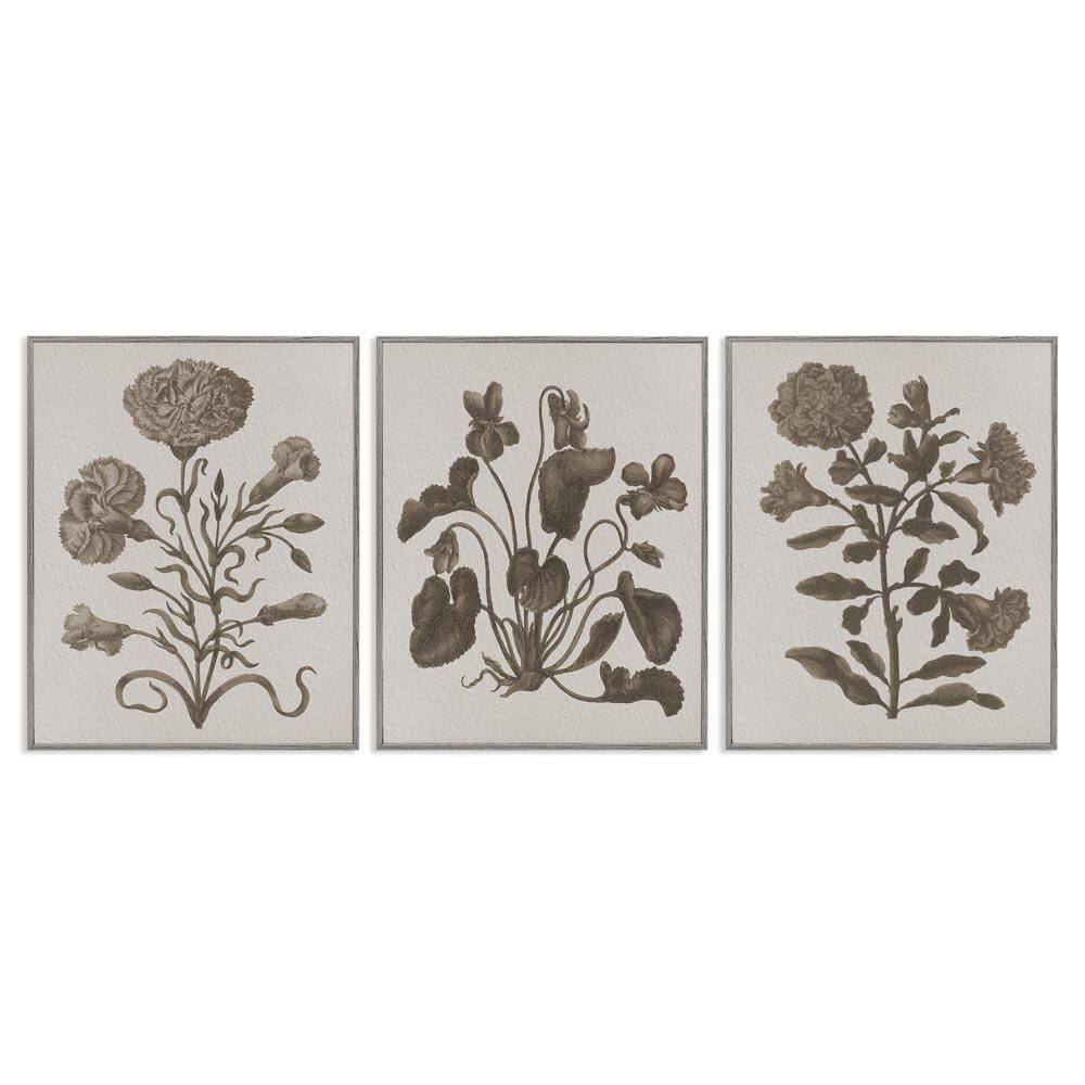 Vintage Country Botanicals by Lil' Rue 3-Pieces Gray Framed Nature Giclee Art Print 14 in. x 11 in. price history on PriceWatchPro