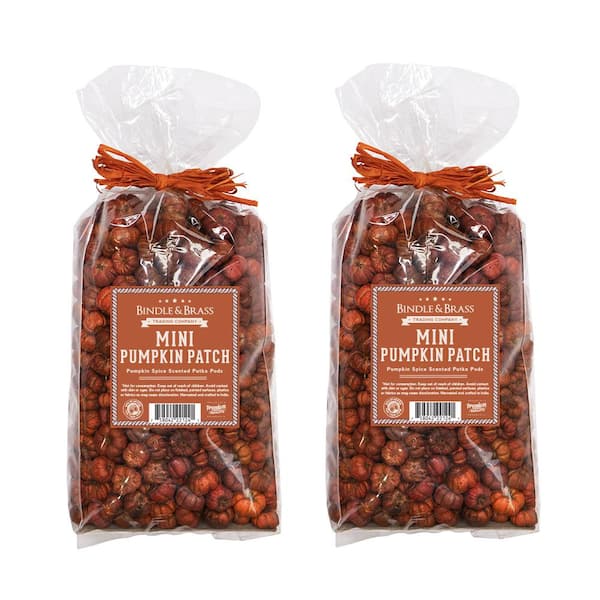 Putka Pods Mini Pumpkin Patch Orange - Pumpkin Spice (2-Pack)