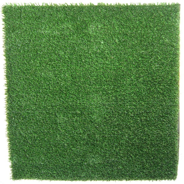 Envylawn EnvyPet Artificial Turf Mat for Pets 4 ft. x 5 ft. Turf Only