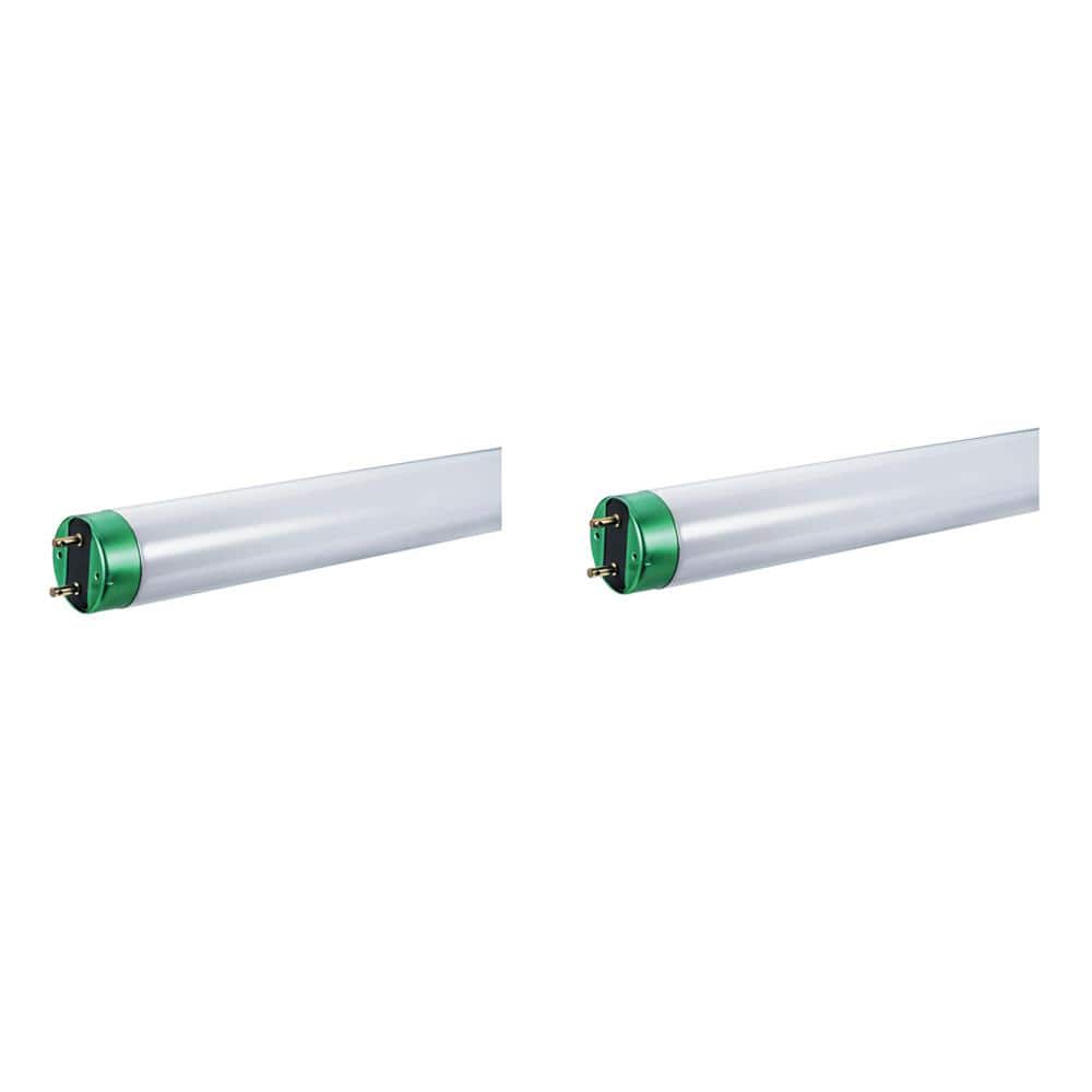 Alto 32-Watt 4 ft. Linear T8 Fluorescent Tube Light Bulb, Cool White (2-Pac