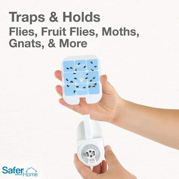 Safer Brand Safer Home Indoor Flying Insect Trap for Fruit Flies, Gnats,  Moths, House Flies (1 Plug-In Base and 2 Refill Glue Cards) SH502 - The  Home Depot