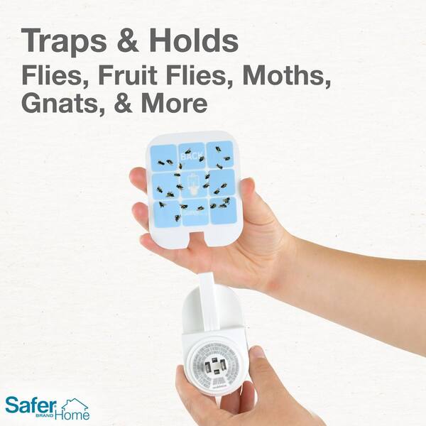 Safer Brand Safer Home Indoor Ready-to-Use Fruit Fly Trap (2 Traps and 2  Lure Liquid Bottles) SH500SR - The Home Depot