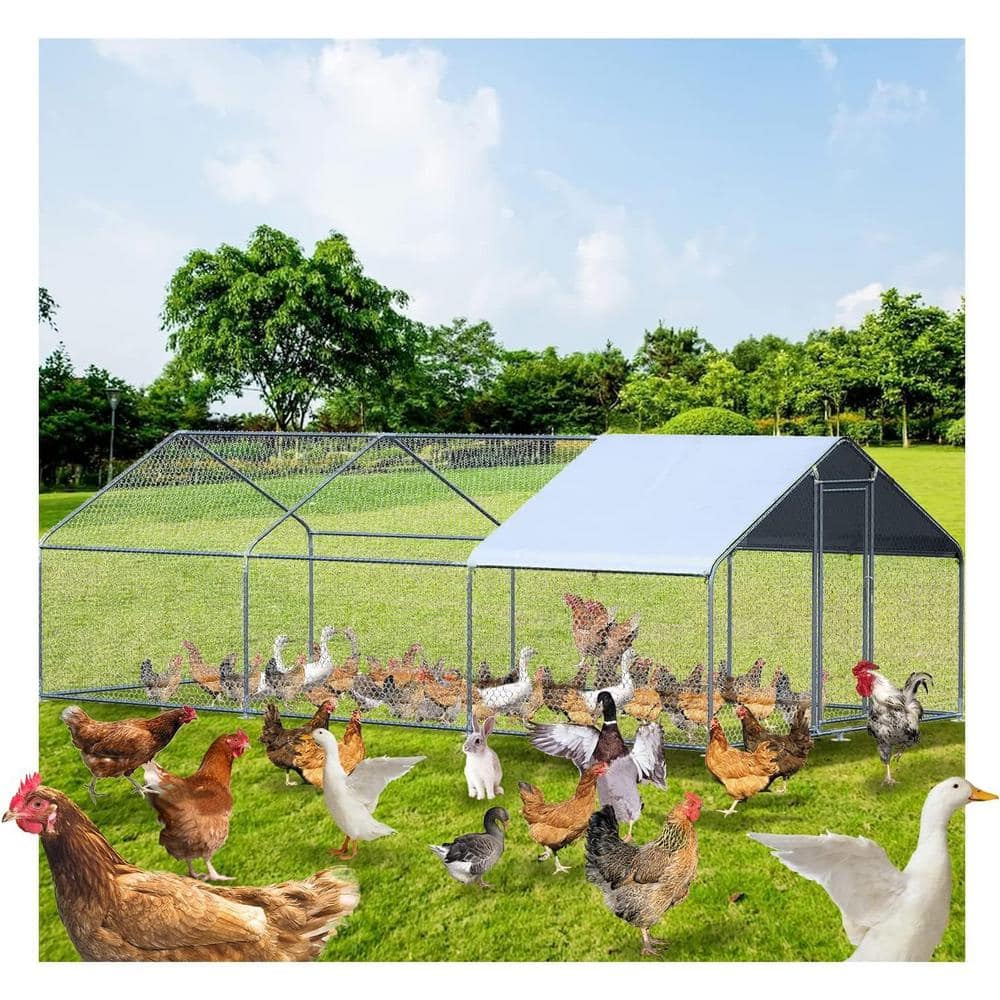 Runesay Metal Large Chicken Coop Walk-in Poultry Cage Large Chicken Run 