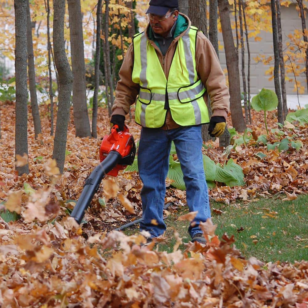 Echo PB-2520 Red and Black Gas Powered Handheld Leaf Blower