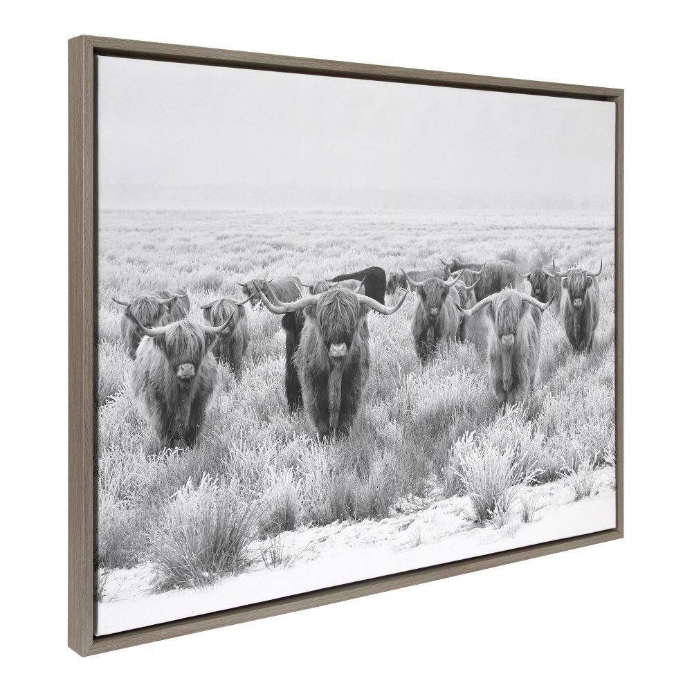 Large Black and White Highland Cow Canvas Print with Gray Frame