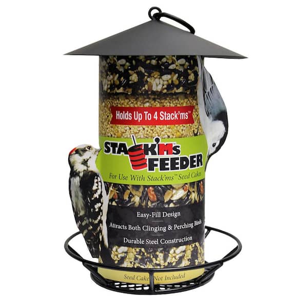 Heath Stack'Ms Seed Cake Cage