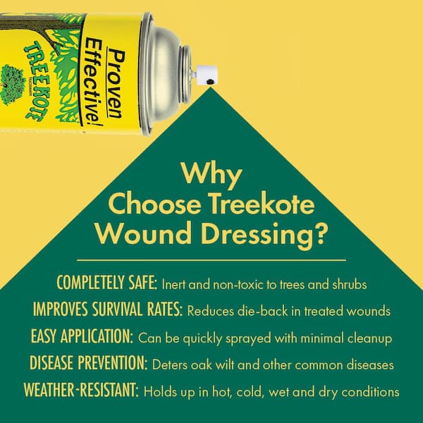 Treekote Tree Wound Dressing - 8OZ Aerosol Pruning Spray for Damaged Trees, Bushes, or Shrubs Treekote Tree Wound Dressing - 8OZ Aerosol Pruning Spray for Damaged Trees, Bushes, or Shrubs