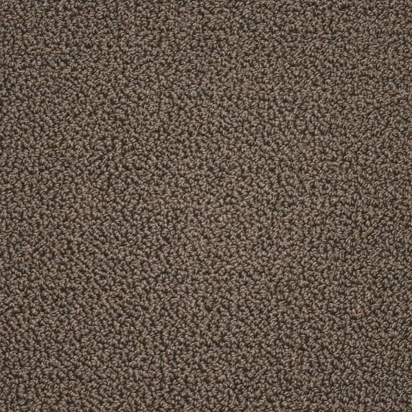 TrafficMaster Carpet Sample - Tranquility - Color Cocoa Powder Texture 8 in. x 8 in.