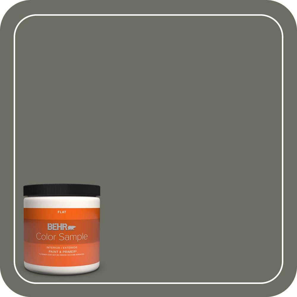 8 oz. #N380-6 Bonsai Trunk Flat Interior/Exterior Paint & Primer Color Sample price history on PriceWatchPro
