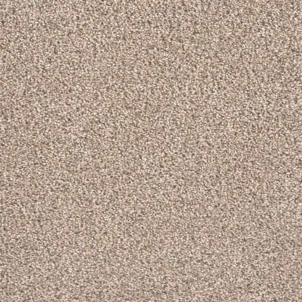 TrafficMaster 8 in. x 8 in. Texture Carpet Sample - Watercolors I - Color  Briar Patch SH-367933 - The Home Depot