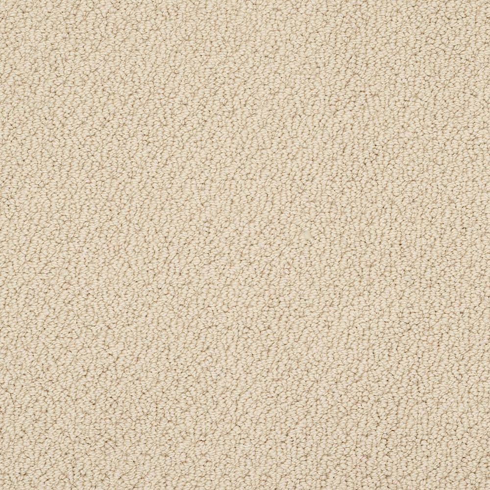 8 in. x 8 in. Loop Carpet Sample - Lightbourne - Color Glowing price history on PriceWatchPro