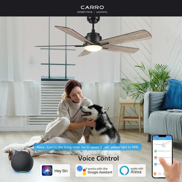 Apex 52 in. Integrated LED Indoor/Outdoor Black Smart Ceiling Fan with Light and Remote, Works with Alexa/Google Home