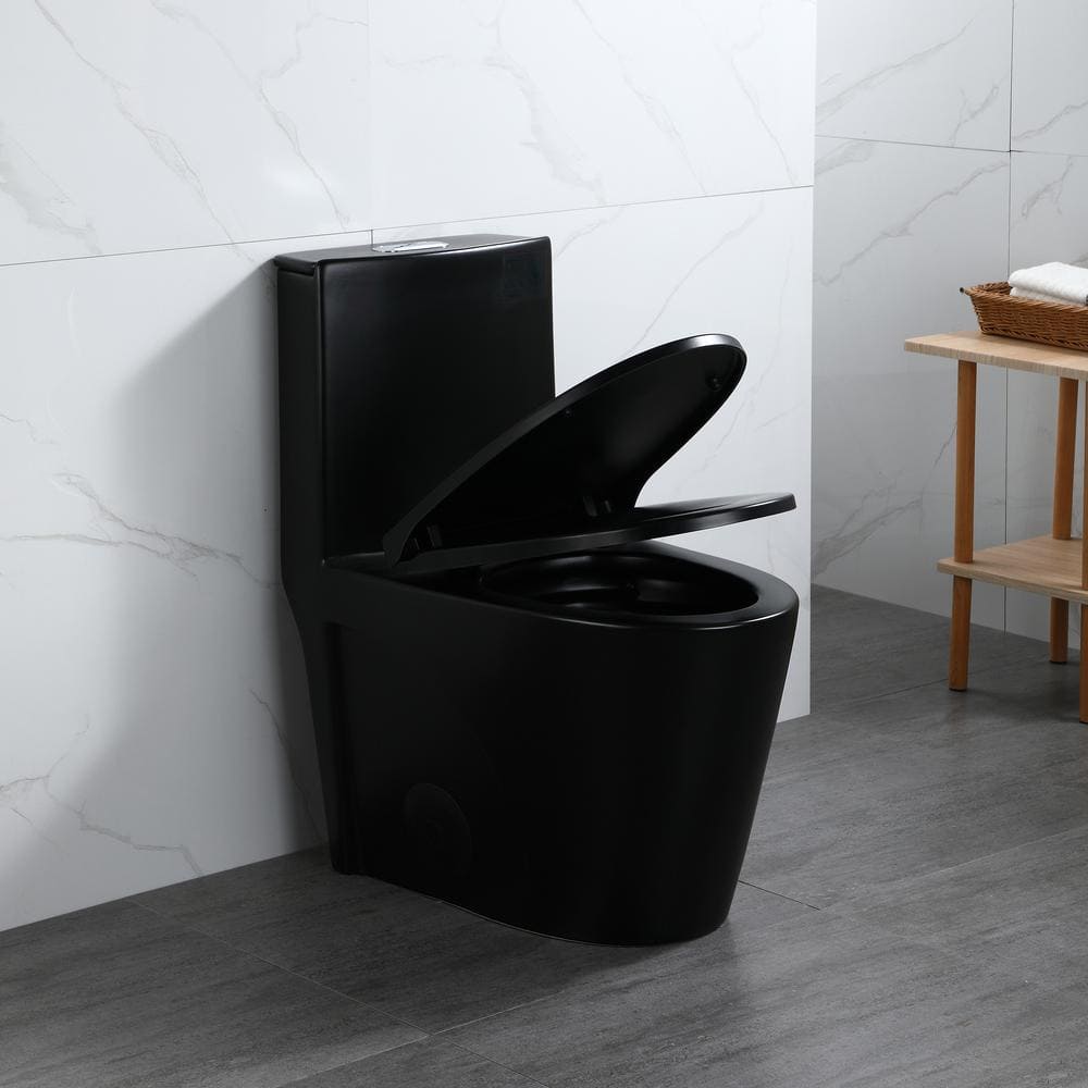 Matte Black Ceramic Elongated One-Piece Dual Flush Toilet