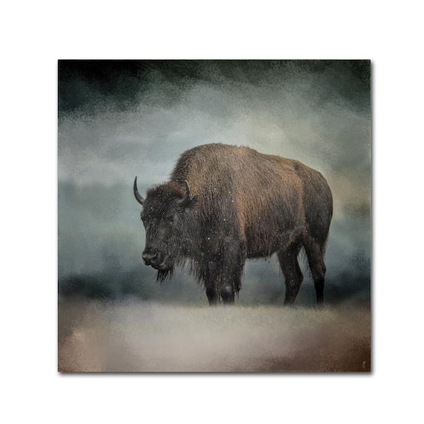 Trademark Fine Art 14 in. x 14 in. Stormy Day Buffalo by Jai Johnson ...
