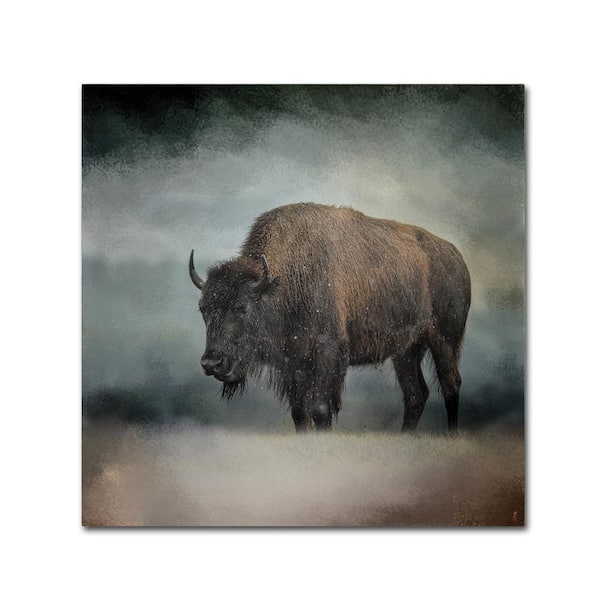 14 in. x 14 in. Stormy Day Buffalo by Jai Johnson Floater Frame Animal Wall Art