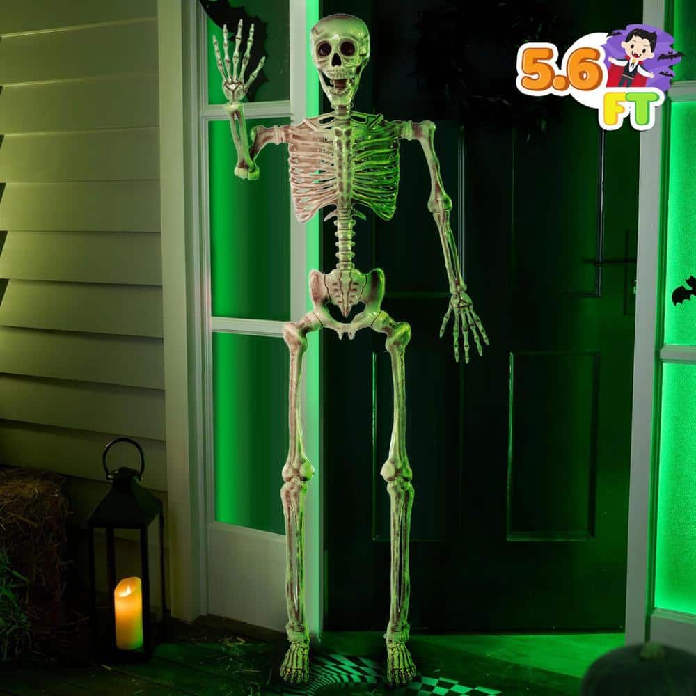 SYNCFUN 5.6 FT White Halloween Posable Body Skeleton made of Plastic