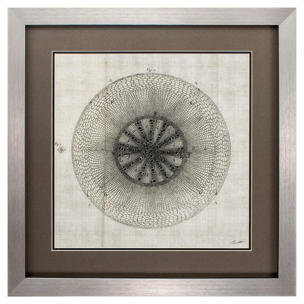 HomeRoots Victoria Silver Gallery Framed Wall Art 26 in. x 26 in.