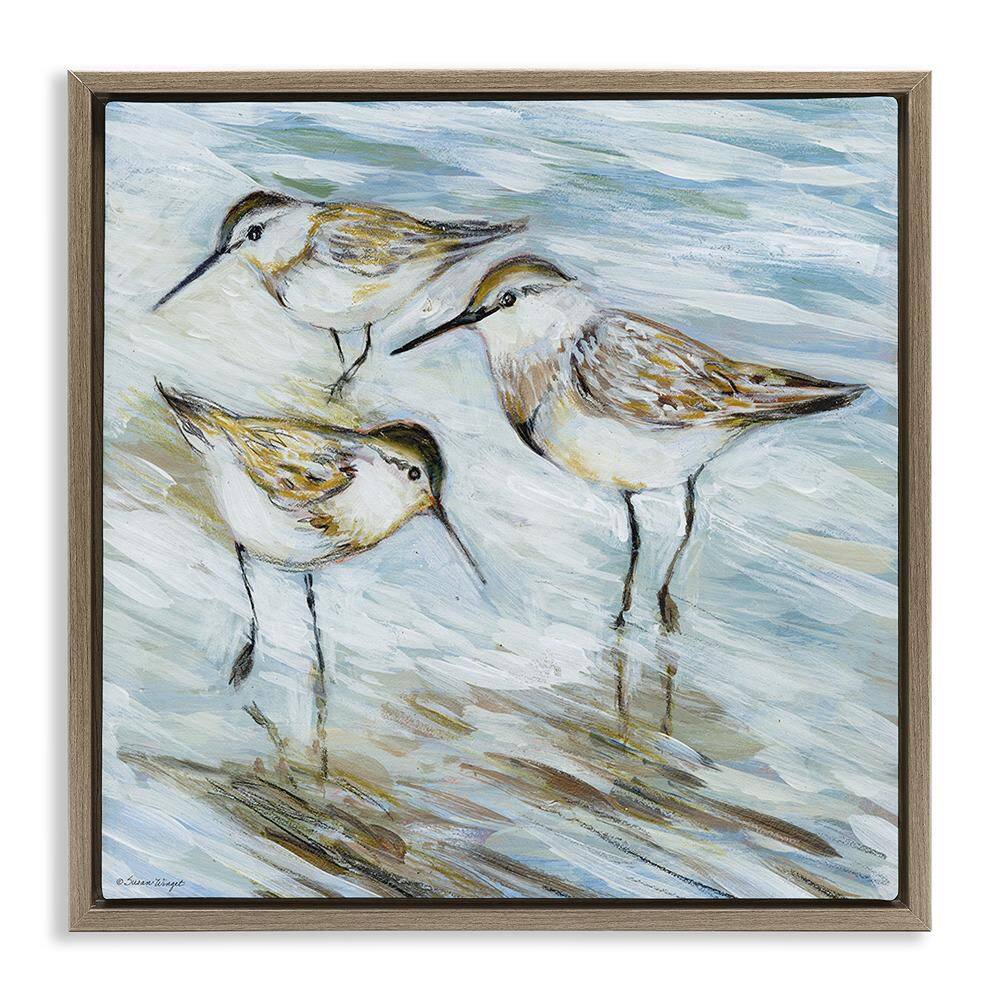 Wetlands Sandpiper Trio by Susan Winget 1 Piece Brown Floater Frame Animal Graphic Art Print 18 in. x 18 in. price history on PriceWatchPro