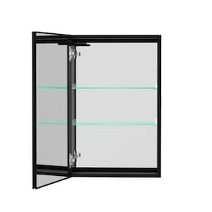 20 in. W x 30 in. H Rectangular Black Aluminum LED Anti-Fog Surface Mount Medicine Cabinet with Mirror