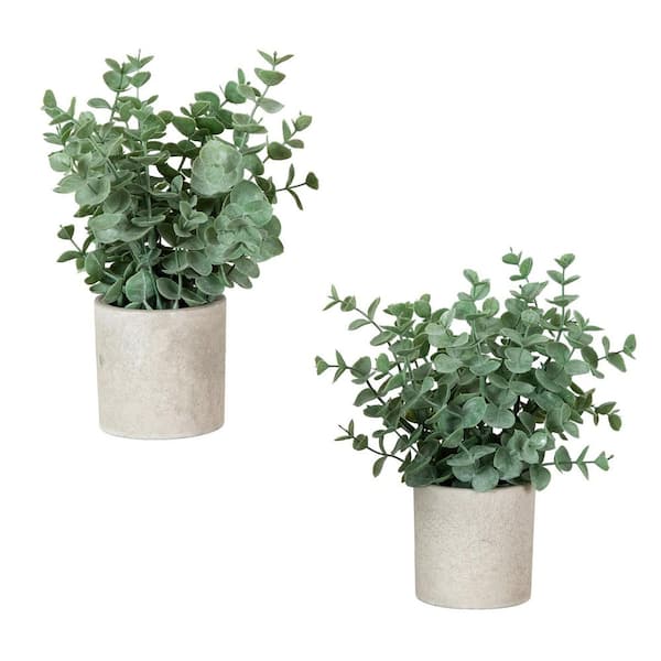 8 in. Green Artificial Baby Blue Eucalyptus in Decorative Planter - Set of 2