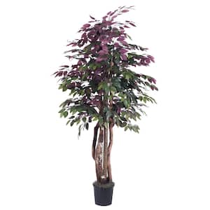 6 ft. Purple and Green Artificial Capensia Other Everyday Tree in Pot