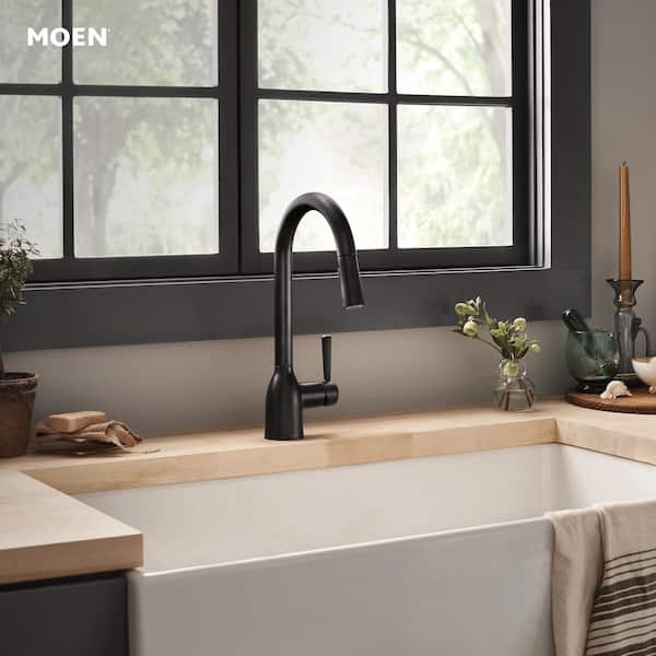 Adler Single-Handle Pull-Down Sprayer Kitchen Faucet with Reflex and Power Clean in Matte Black