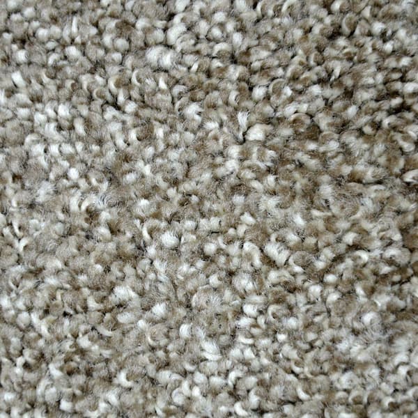 Lifeproof Carpet Sample - Refined Manner I - Color Isabella Texture 8 in. x 8 in.