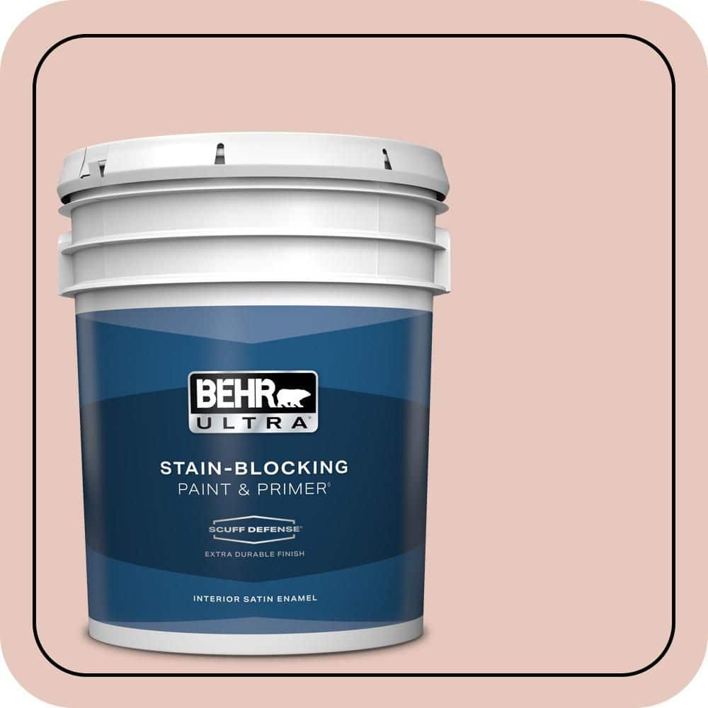 5 gal. #210E-3 Almond Willow Extra Durable Satin Enamel Interior Paint & Primer price history on PriceWatchPro