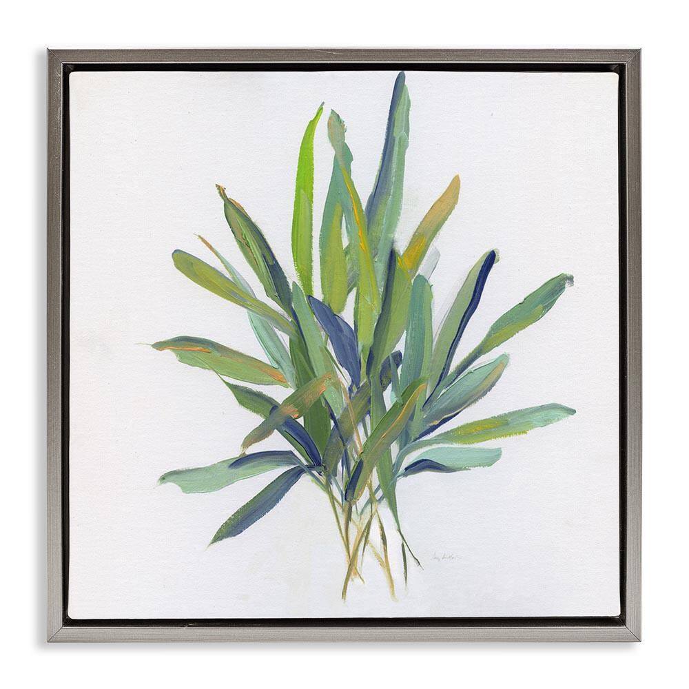 Layered Leaf Sprigs by Sally Swatland Gray Floater Frame Nature Graphic Art Print 25 in. x 25 in. price history on PriceWatchPro